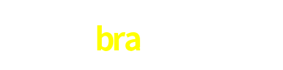 bra500.com